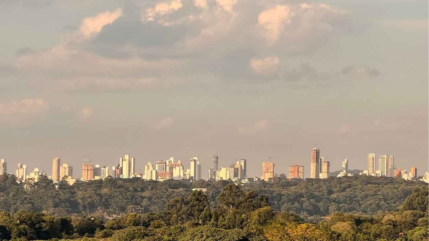 Modelo Cooperativista em Chapecó: O Trabalho Familiar que Sustenta um Gigante de R$ 22 Bilhões